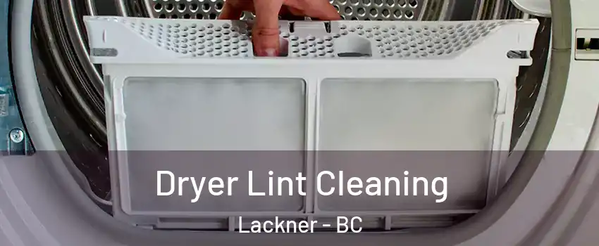  Dryer Lint Cleaning Lackner - BC