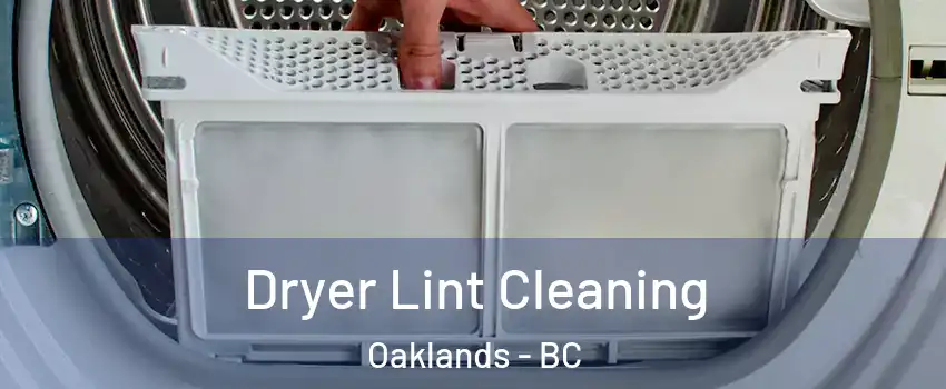  Dryer Lint Cleaning Oaklands - BC