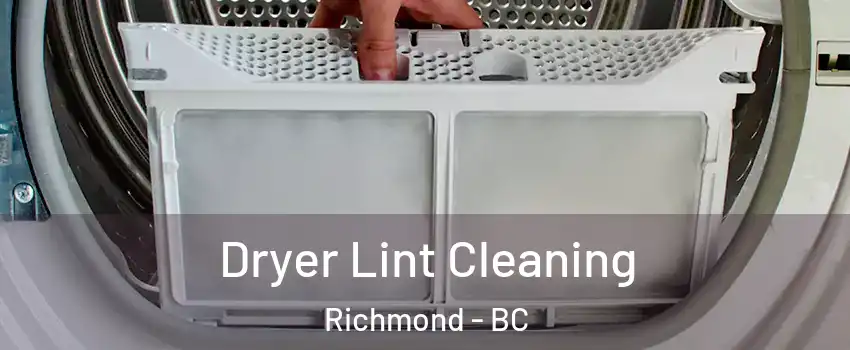  Dryer Lint Cleaning Richmond - BC