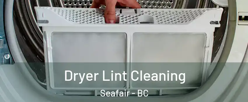  Dryer Lint Cleaning Seafair - BC