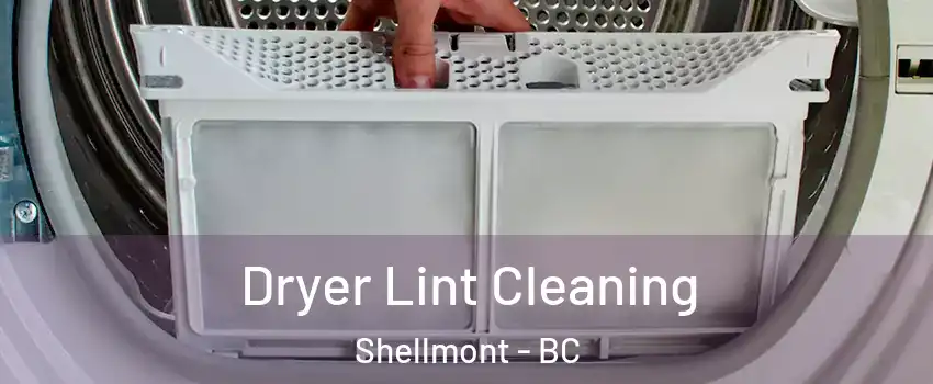 Dryer Lint Cleaning Shellmont - BC