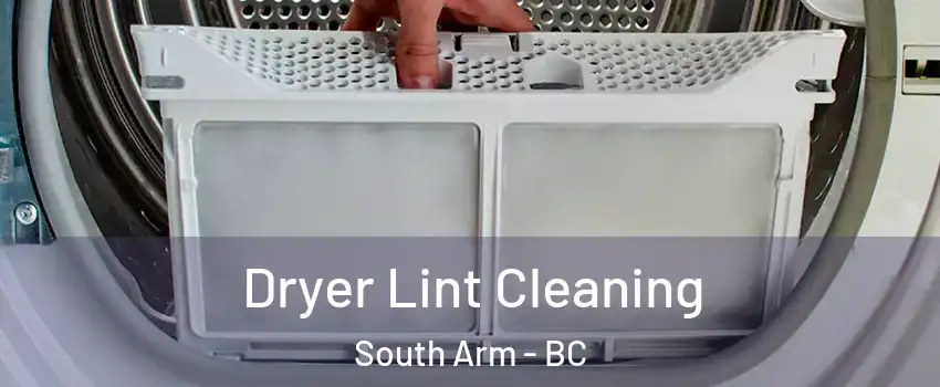  Dryer Lint Cleaning South Arm - BC