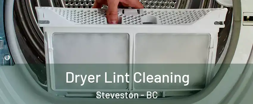  Dryer Lint Cleaning Steveston - BC