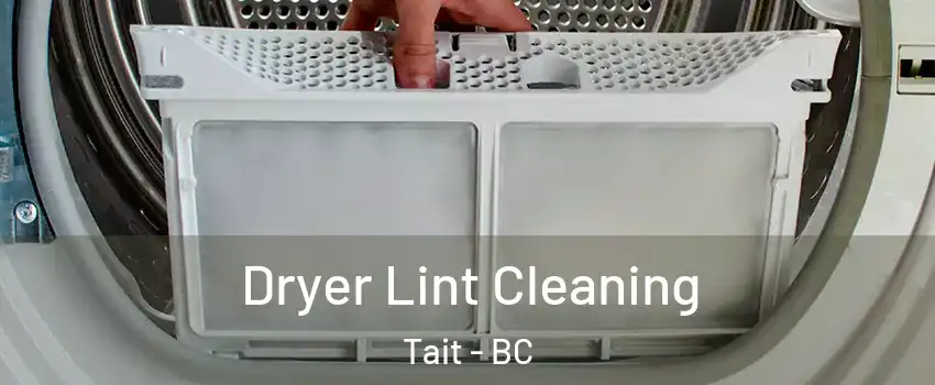  Dryer Lint Cleaning Tait - BC