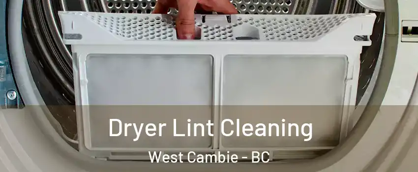  Dryer Lint Cleaning West Cambie - BC
