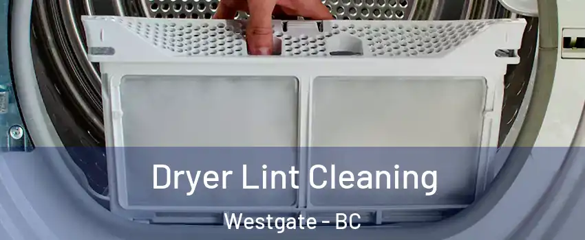  Dryer Lint Cleaning Westgate - BC