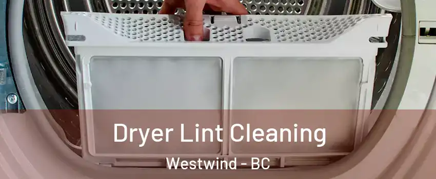  Dryer Lint Cleaning Westwind - BC