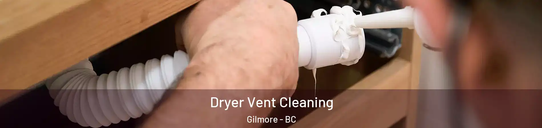  Dryer Vent Cleaning Gilmore - BC