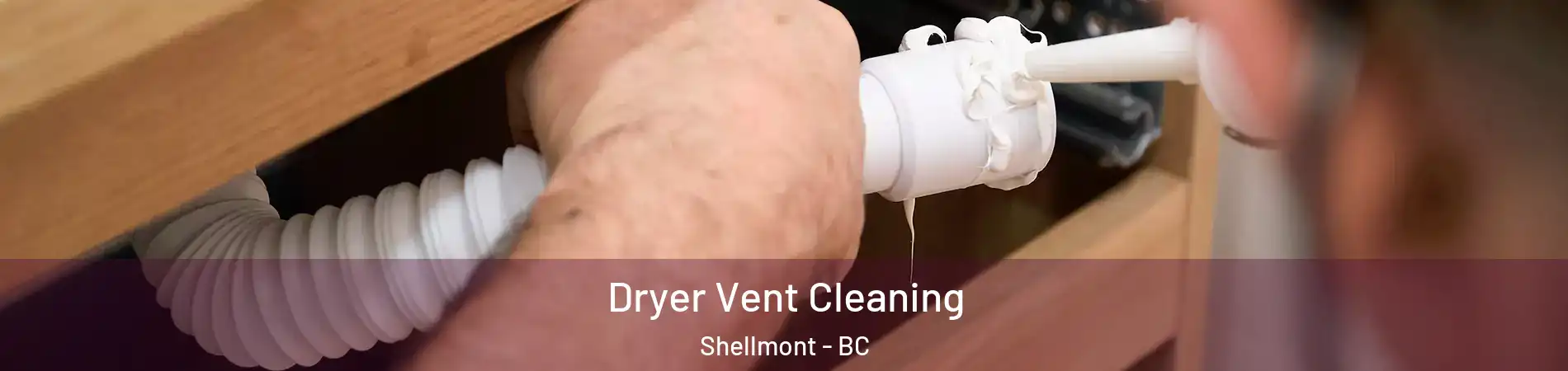  Dryer Vent Cleaning Shellmont - BC