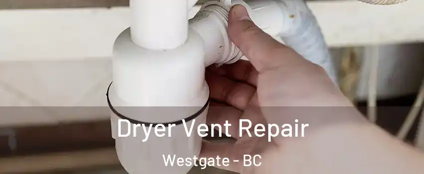  Dryer Vent Repair Westgate - BC