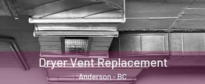  Dryer Vent Replacement Anderson - BC
