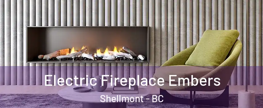  Electric Fireplace Embers Shellmont - BC