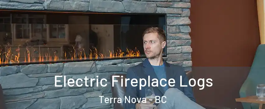 Electric Fireplace Logs Terra Nova - BC
