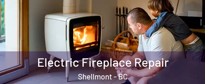  Electric Fireplace Repair Shellmont - BC
