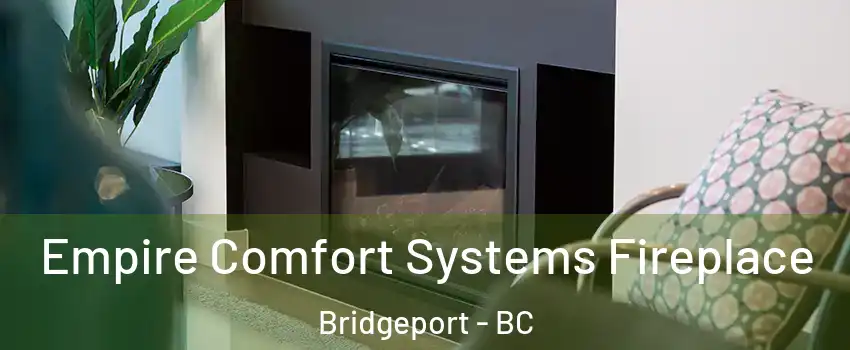  Empire Comfort Systems Fireplace Bridgeport - BC
