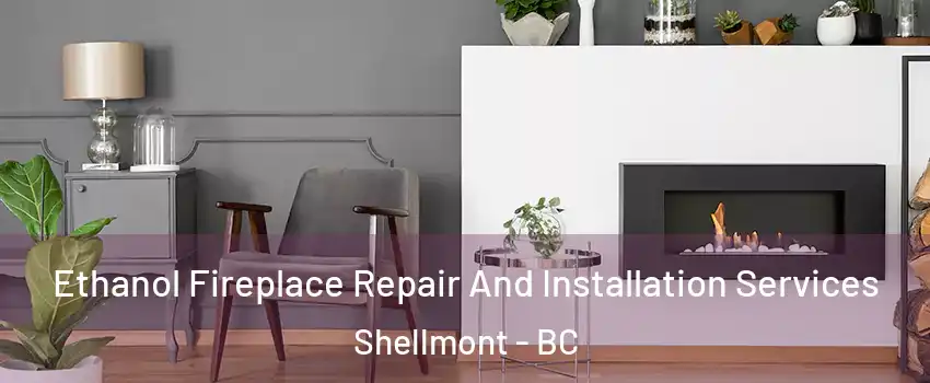  Ethanol Fireplace Repair And Installation Services Shellmont - BC