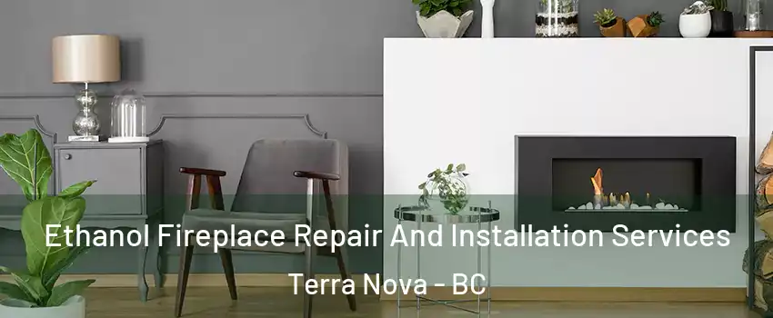  Ethanol Fireplace Repair And Installation Services Terra Nova - BC