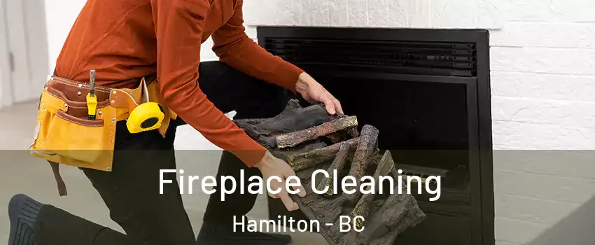  Fireplace Cleaning Hamilton - BC