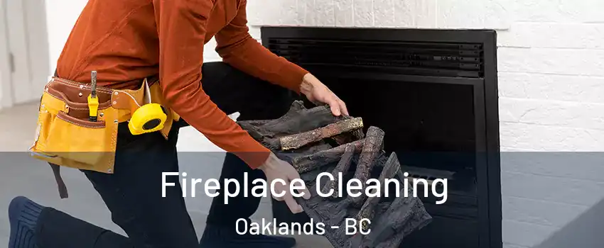  Fireplace Cleaning Oaklands - BC