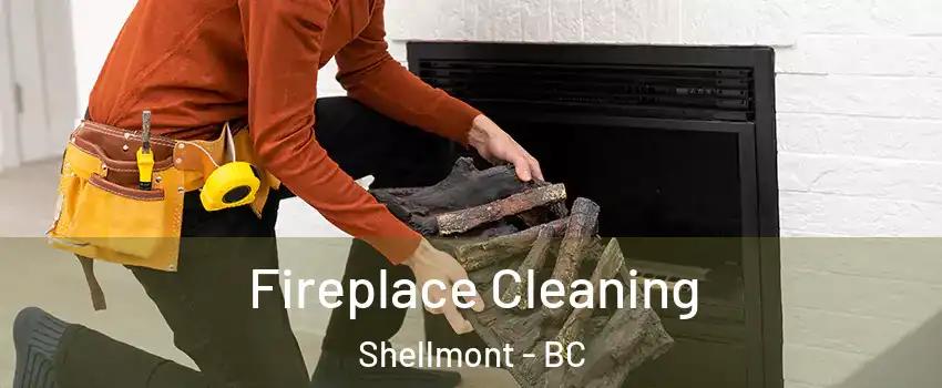  Fireplace Cleaning Shellmont - BC