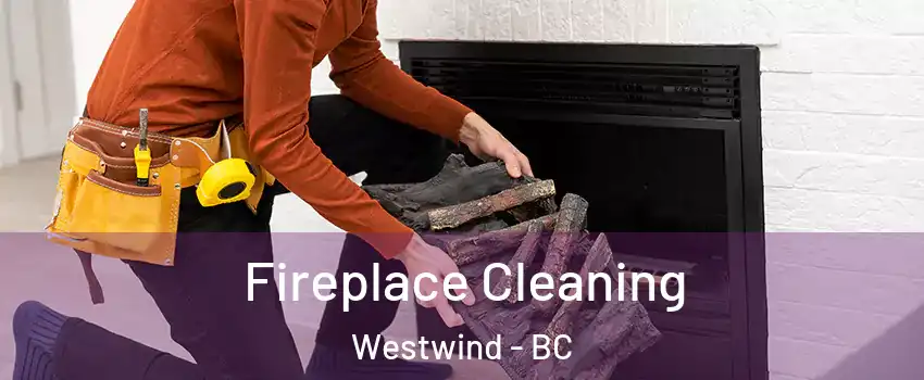  Fireplace Cleaning Westwind - BC