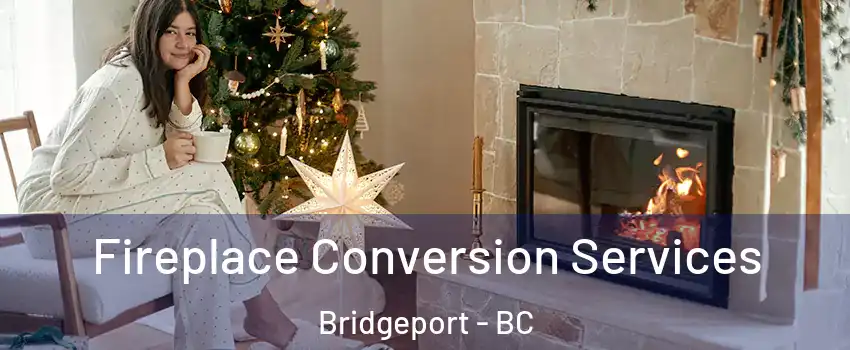  Fireplace Conversion Services Bridgeport - BC