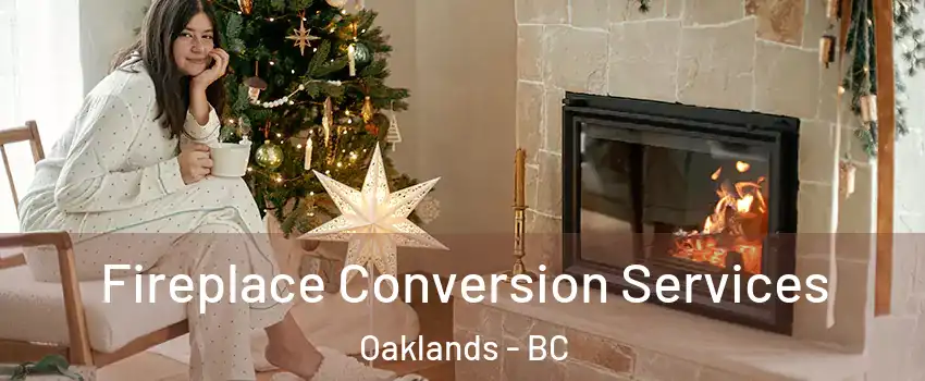  Fireplace Conversion Services Oaklands - BC