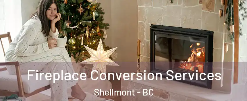  Fireplace Conversion Services Shellmont - BC