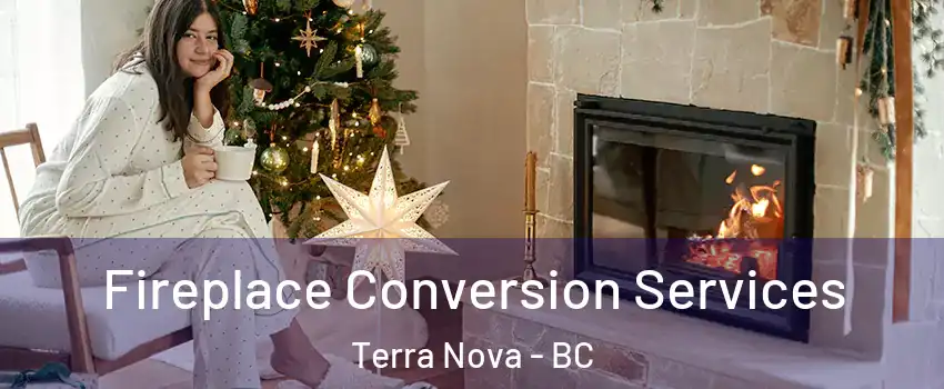  Fireplace Conversion Services Terra Nova - BC