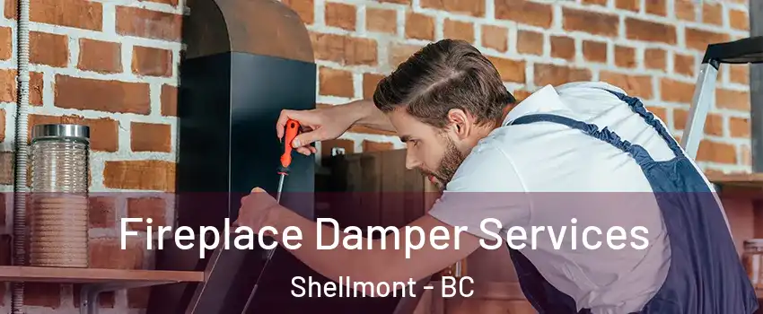  Fireplace Damper Services Shellmont - BC
