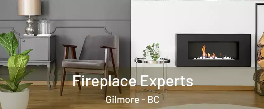  Fireplace Experts Gilmore - BC