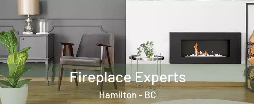  Fireplace Experts Hamilton - BC