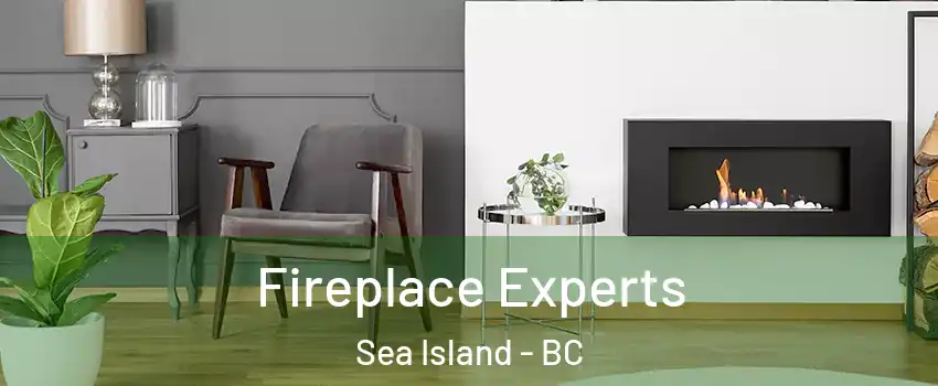  Fireplace Experts Sea Island - BC