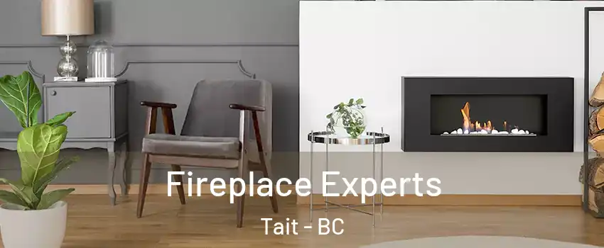  Fireplace Experts Tait - BC