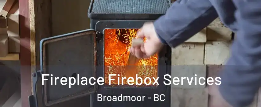  Fireplace Firebox Services Broadmoor - BC