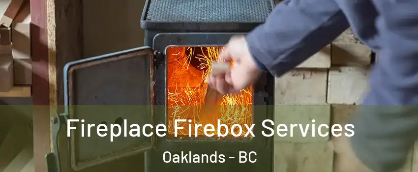  Fireplace Firebox Services Oaklands - BC