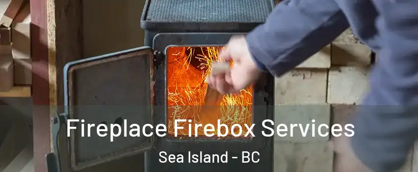  Fireplace Firebox Services Sea Island - BC