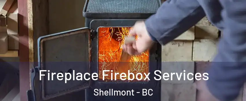  Fireplace Firebox Services Shellmont - BC