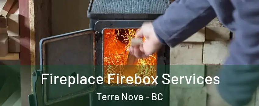  Fireplace Firebox Services Terra Nova - BC