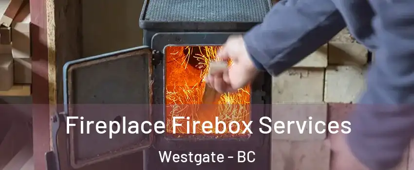  Fireplace Firebox Services Westgate - BC