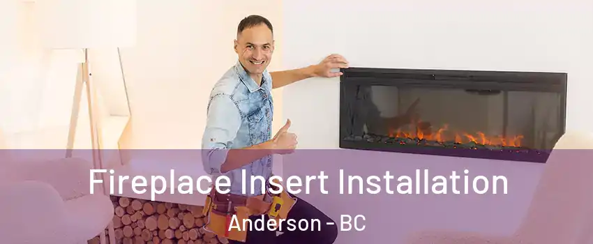  Fireplace Insert Installation Anderson - BC