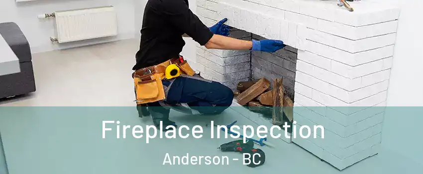  Fireplace Inspection Anderson - BC