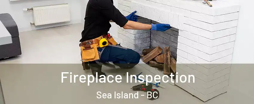  Fireplace Inspection Sea Island - BC