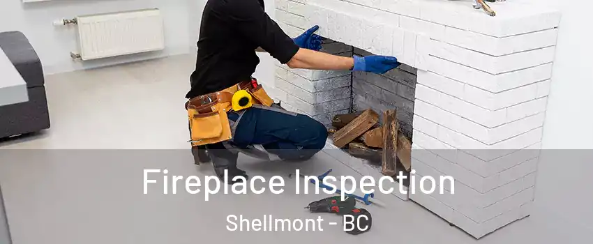  Fireplace Inspection Shellmont - BC
