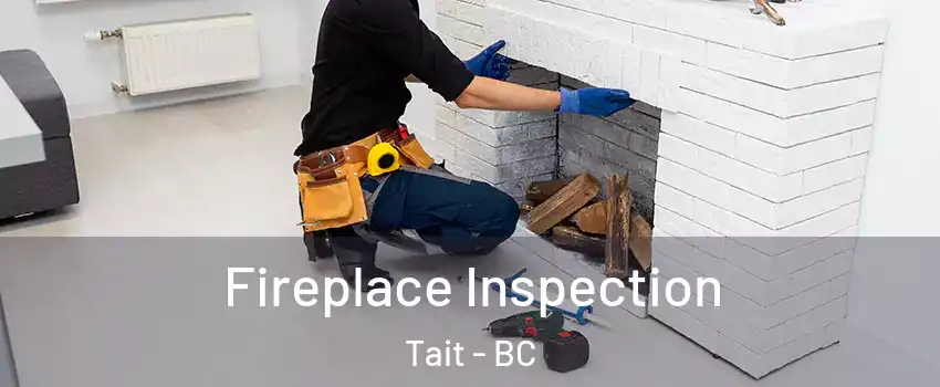  Fireplace Inspection Tait - BC