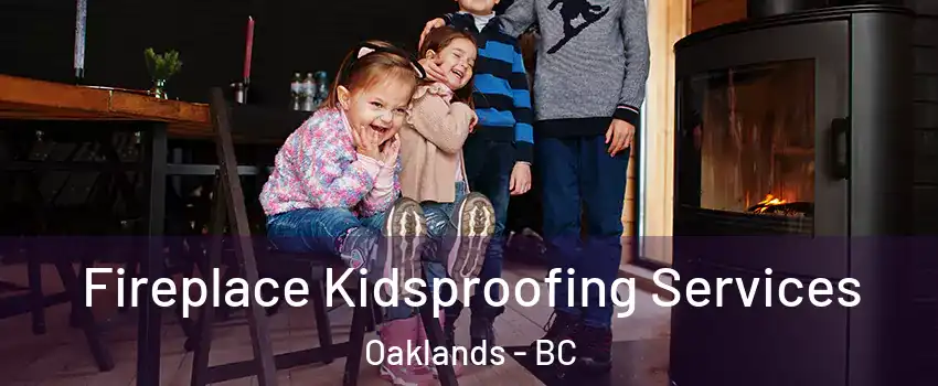  Fireplace Kidsproofing Services Oaklands - BC