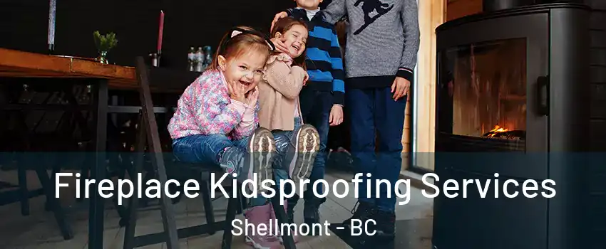  Fireplace Kidsproofing Services Shellmont - BC