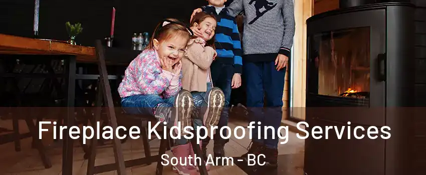  Fireplace Kidsproofing Services South Arm - BC