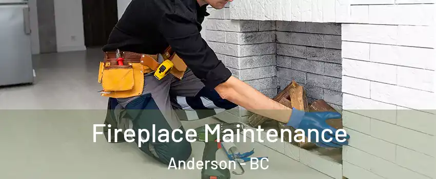  Fireplace Maintenance Anderson - BC