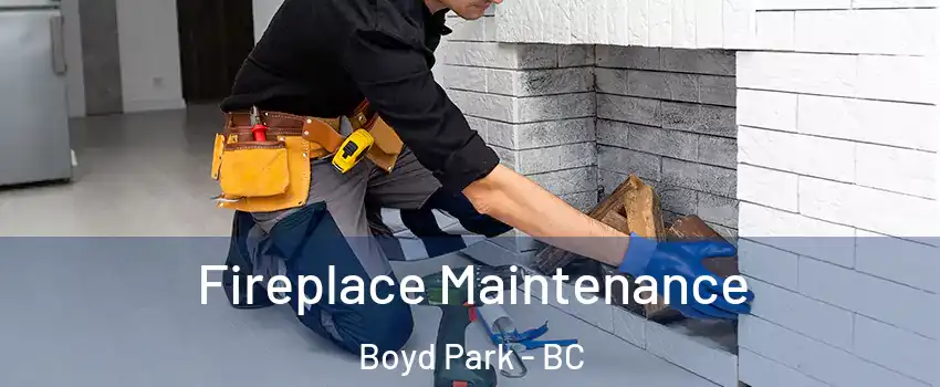 Fireplace Maintenance Boyd Park - BC